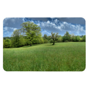 Appalachian Green Flexible Magnet