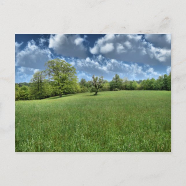 Appalachian Green Postcard (Front)