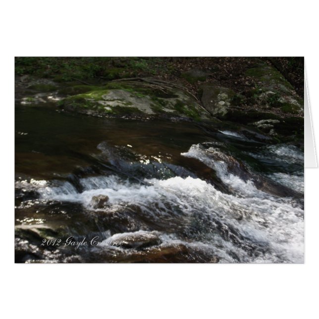 Appalachian mountain creek (Front Horizontal)