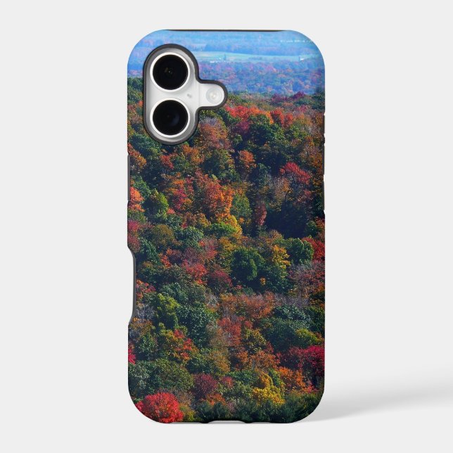 Appalachian Mountains in Fall (Back)