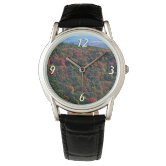 Appalachian Mountains in Fall Watch