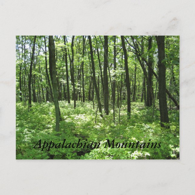 Appalachian Mountains Postcard (Front)