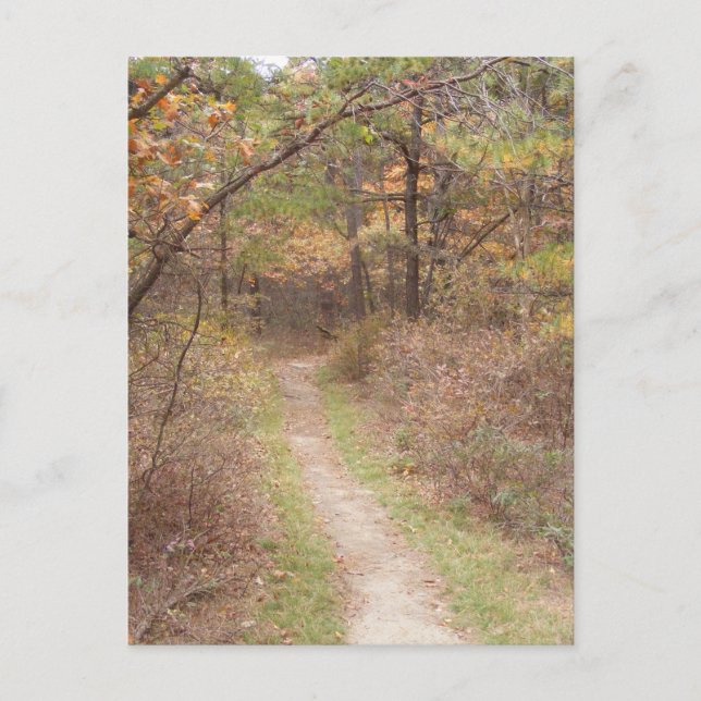 appalachian trail fall pennsylvania postcard (Front)