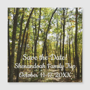 Appalachian Trail in October at Shenandoah