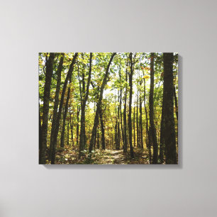 Appalachian Trail in October at Shenandoah Canvas Print