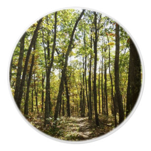 Appalachian Trail in October at Shenandoah Ceramic Knob