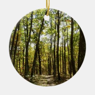 Appalachian Trail in October at Shenandoah Ceramic Tree Decoration