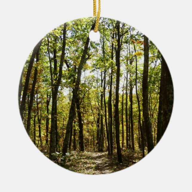 Appalachian Trail in October at Shenandoah Ceramic Tree Decoration (Front)