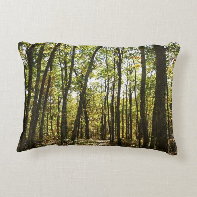 Appalachian Trail in October at Shenandoah Decorative Cushion (Back)