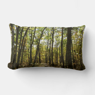 Appalachian Trail in October at Shenandoah Lumbar Cushion