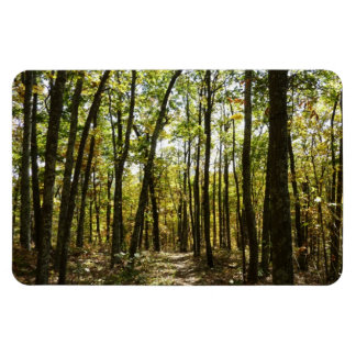 Appalachian Trail in October at Shenandoah Magnet