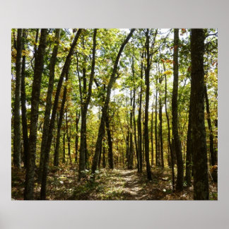 Appalachian Trail in October at Shenandoah Poster