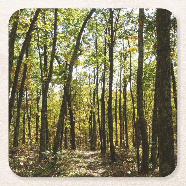 Appalachian Trail in October at Shenandoah Square Paper Coaster (Front)