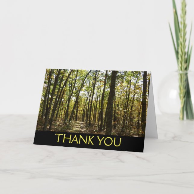 Appalachian Trail in October at Shenandoah Thank You Card (Front)