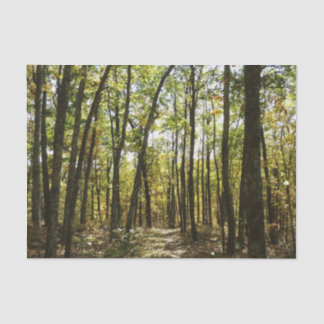 Appalachian Trail in October at Shenandoah Tissue Paper