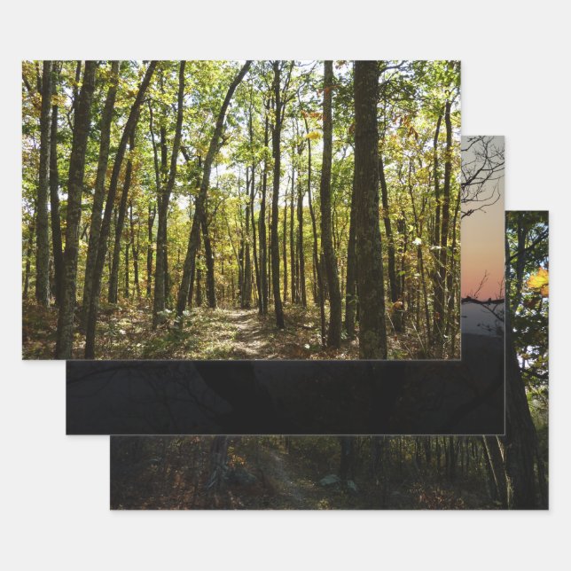 Appalachian Trail in October at Shenandoah Wrapping Paper Sheet (Set)