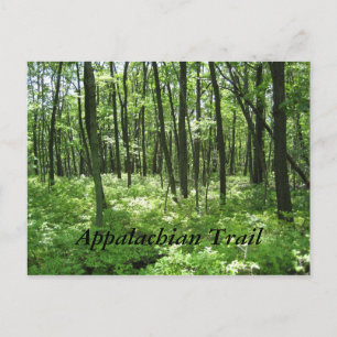 Appalachian Trail Postcard