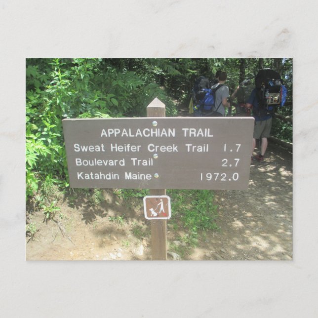 Appalachian Trail Postcard (Front)