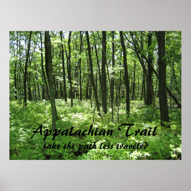 Appalachian Trail Poster (Front)
