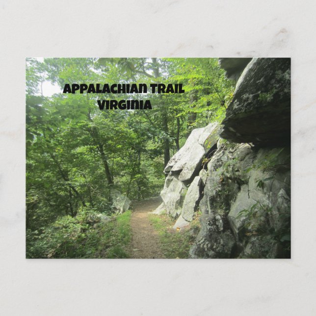Appalachian Trail, Virginia Postcard (Front)