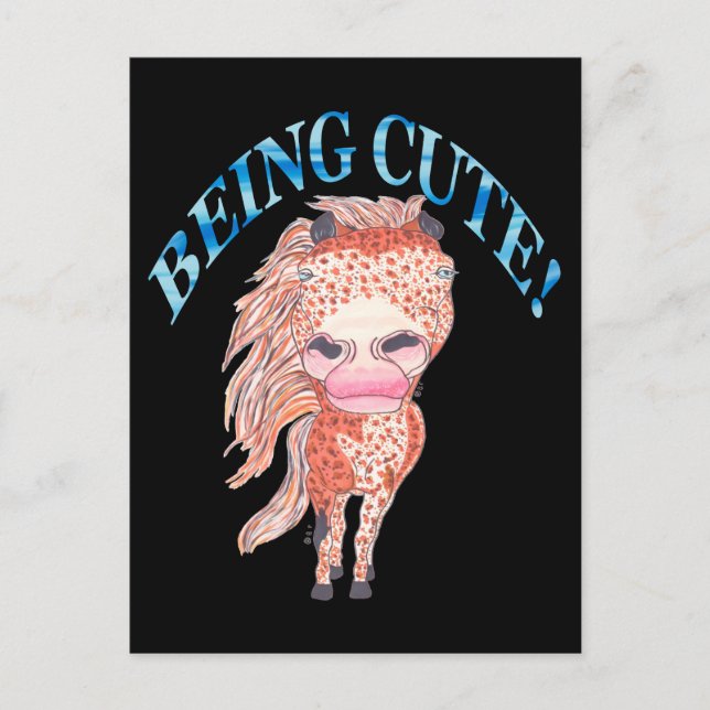 APPALOOSA BEING CUTE HOLIDAY POSTCARD (Front)