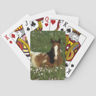 Appaloosa Foal Laying Down in Flowers Playing Cards