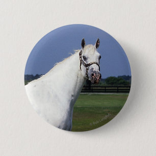 Appaloosa Horse 6 Cm Round Badge