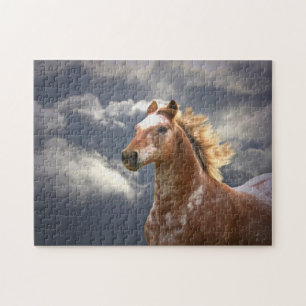 Appaloosa Horse and Clouds Beautiful Jigsaw Puzzle