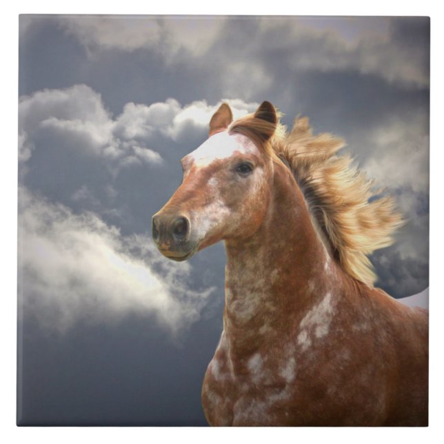 Appaloosa Horse and Clouds Tile (Front)