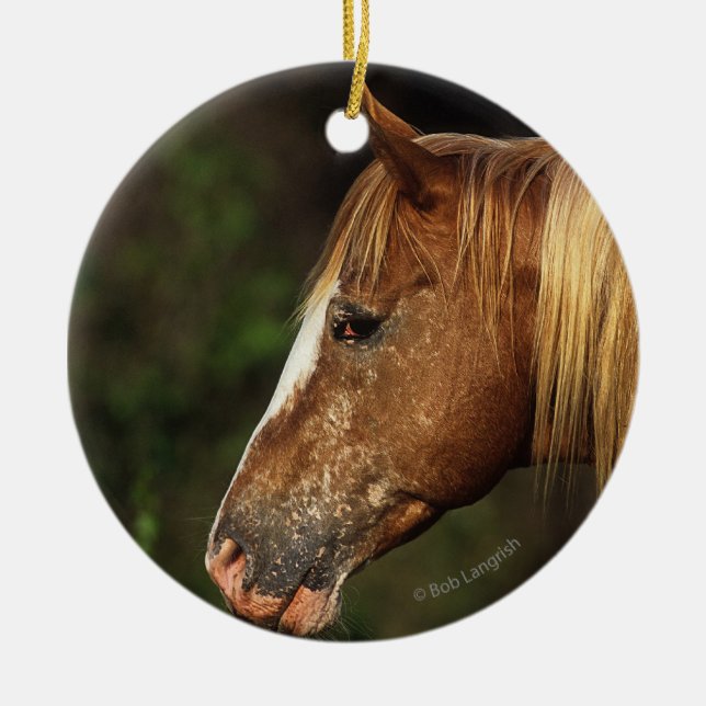 Appaloosa Horse Headshot 1 Ceramic Tree Decoration (Front)