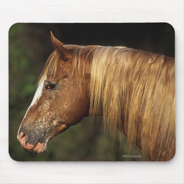 Appaloosa Horse Headshot 1 Mouse Pad (Front)
