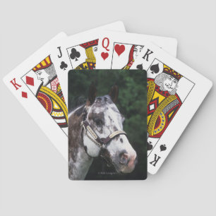 Appaloosa Horse Headshot 2 Playing Cards