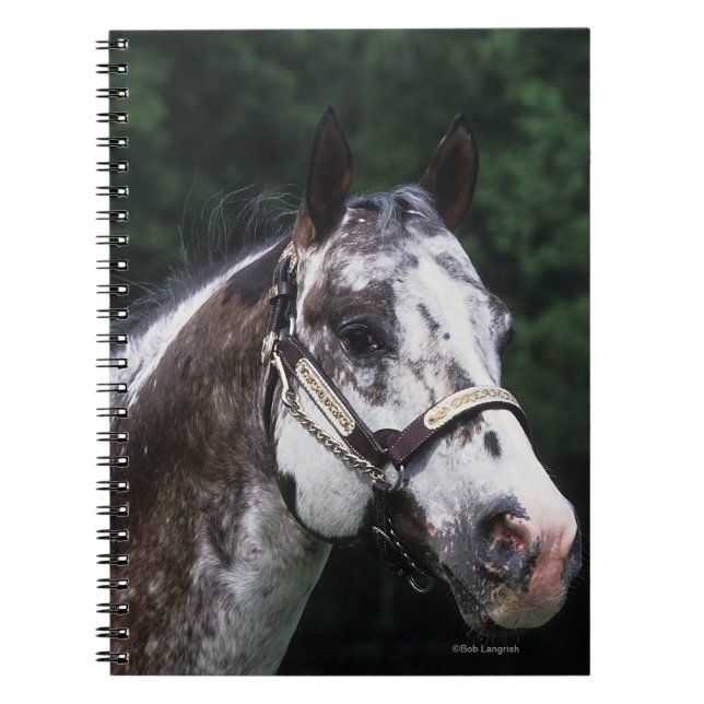 Appaloosa Horse Headshot 2 Spiral Notebook (Front)