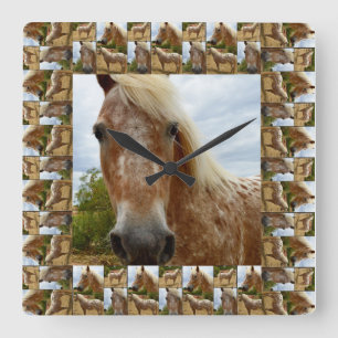 Appaloosa Horse In Appaloosa Horse Photo Frame, Square Wall Clock