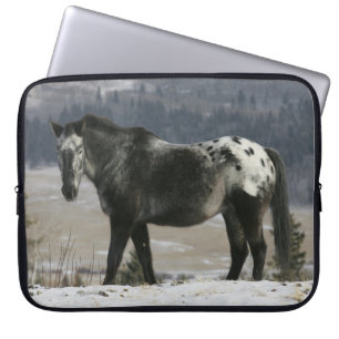 Appaloosa Horse in the Snow Laptop Sleeve