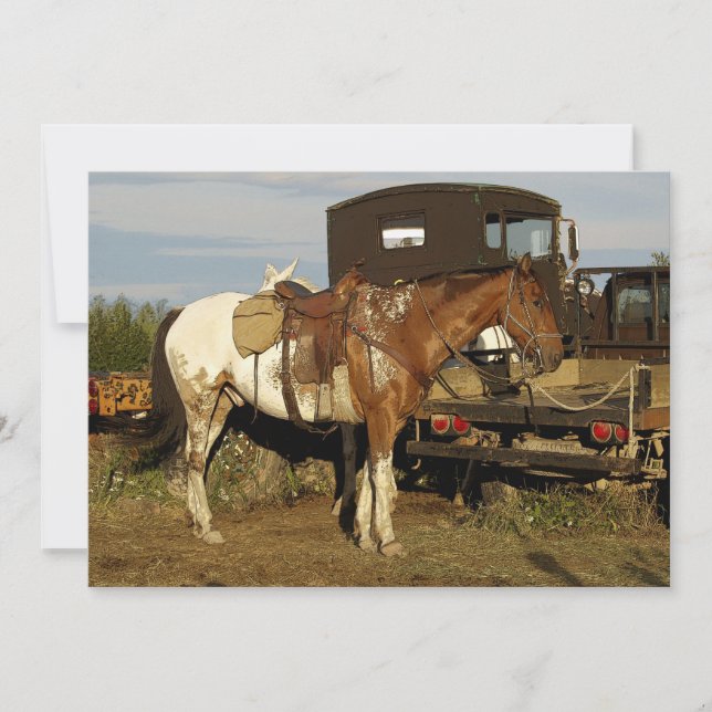 Appaloosa Horse Invitation Cards (Front)