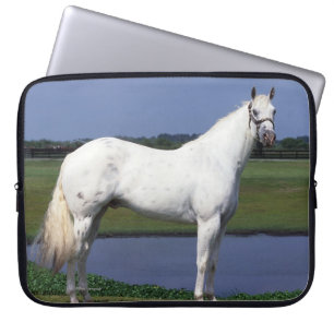 Appaloosa Horse Laptop Sleeve