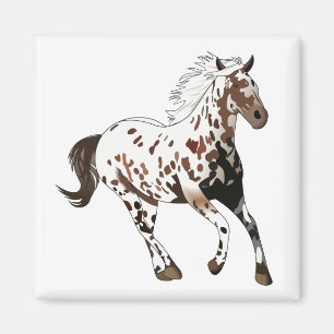 Appaloosa Horse Magnet