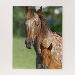 Appaloosa Horse Mare and Foal Headshot Jigsaw Puzzle