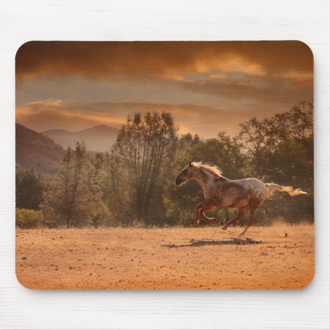 Appaloosa Horse Mousepad (Front)