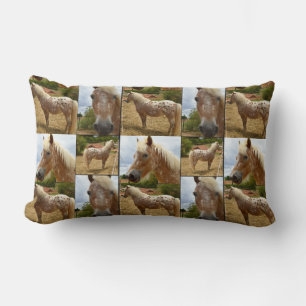 Appaloosa Horse, Photo Collage Lumbar Cushion. Cushion