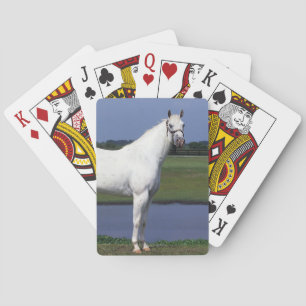 Appaloosa Horse Playing Cards