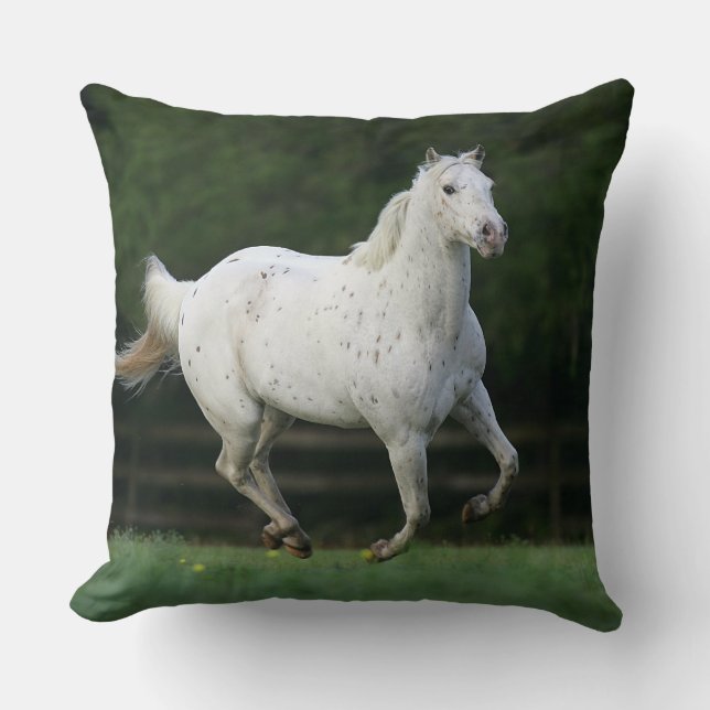 Appaloosa Horse Running 1 Cushion (Front)