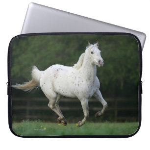 Appaloosa Horse Running 1 Laptop Sleeve