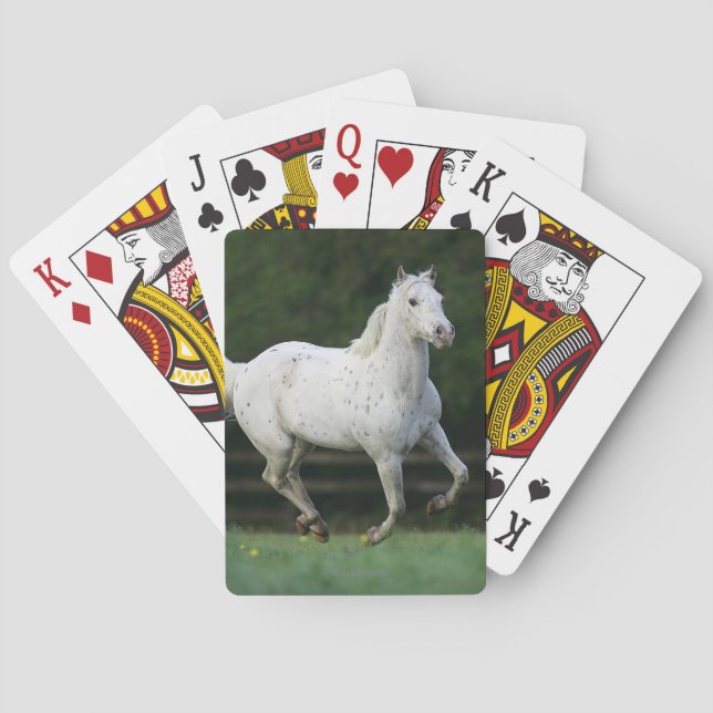 Appaloosa Horse Running 1 Playing Cards (Back)