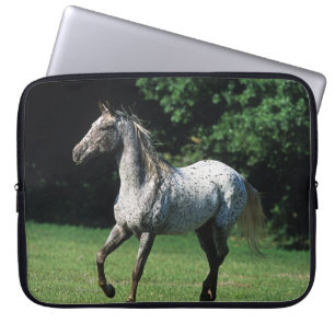 Appaloosa Horse Running 2 Laptop Sleeve