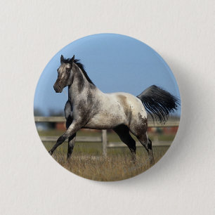 Appaloosa Horse Running 3 6 Cm Round Badge