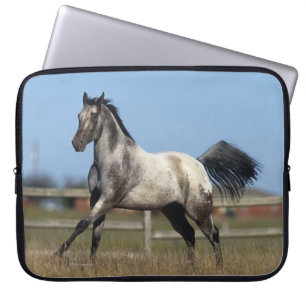 Appaloosa Horse Running 3 Laptop Sleeve