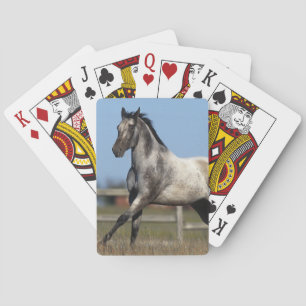 Appaloosa Horse Running 3 Playing Cards