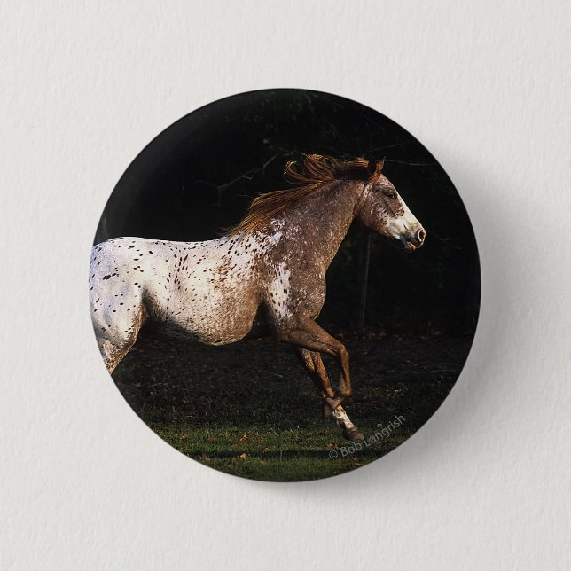 Appaloosa Horse Running 4 6 Cm Round Badge (Front)